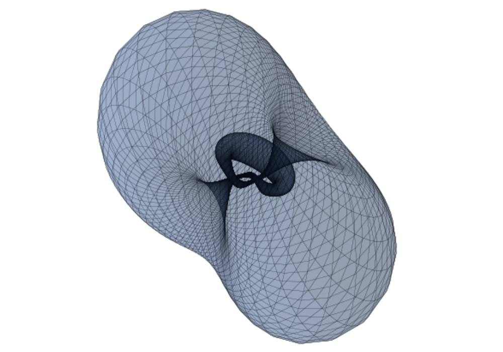 Trefoil knot surface inverted