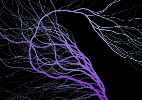 Collatz conjecture visualization