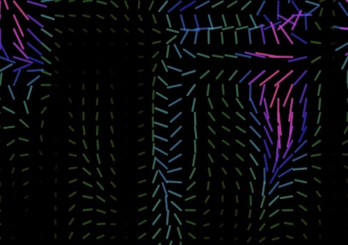 Vector field noise