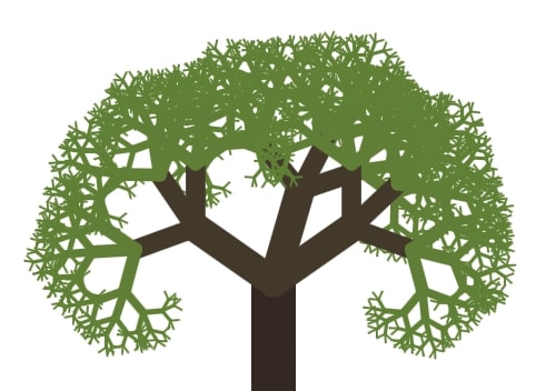 Pine tree